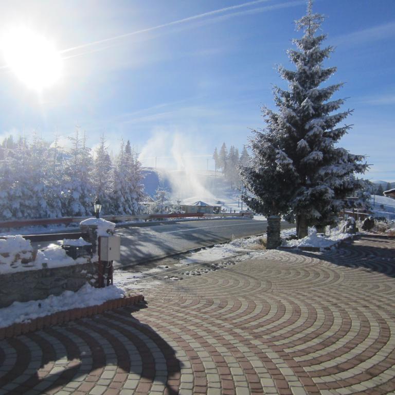 Complex Turistic Casianna & Spa Păltiniş Dış mekan fotoğraf